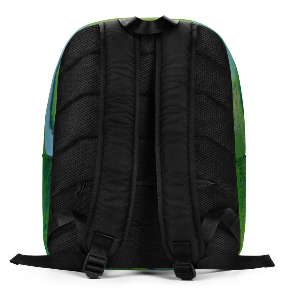 Minimalist Backpack - Image 4