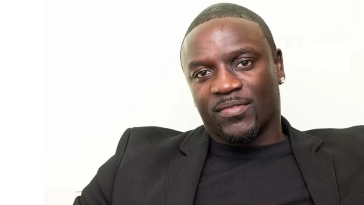 Akon made a bold statement about Nigerians in an interview: "Nigerians are the smartest people on the planet"